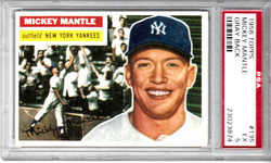 Portland Sports Card Co