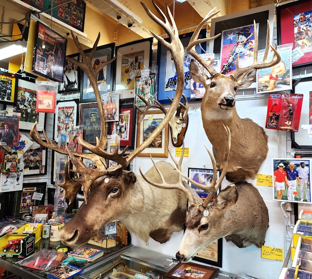 TC Sports -N- Treasure Finds Located Online or Inside Paramount Marketplace (TC SPORTS LLC)