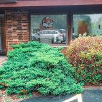 The Shop Collectibles