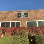 Greensquad Cards & Collectibles